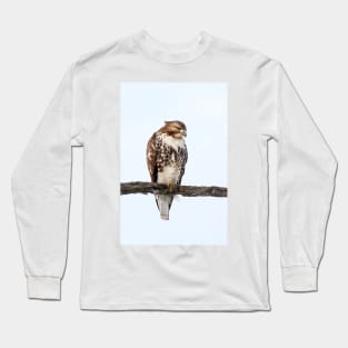Red-tailed Hawk - Perched Long Sleeve T-Shirt